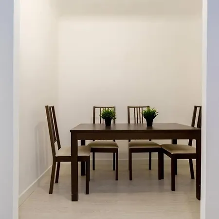 Agustina - Piso Centrico Reformado En Calle Peatonal Apartamento *