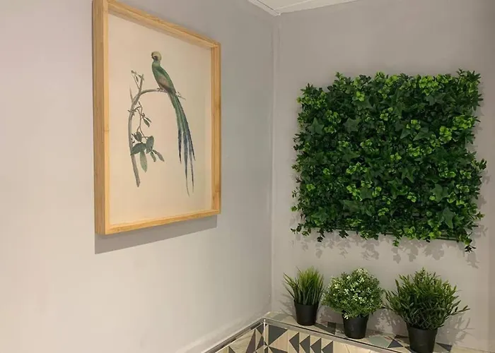 Lägenhet Agustina - Piso Centrico Reformado En Calle Peatonal